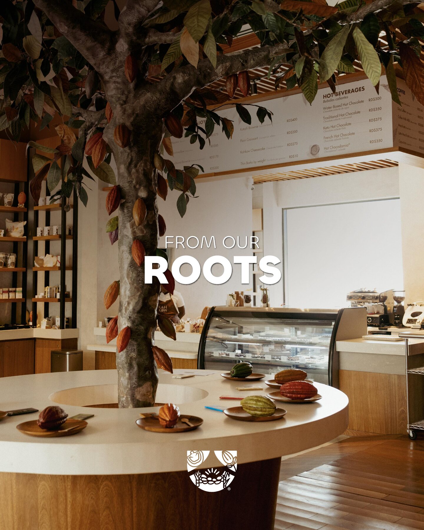 Dominicania cacao roots tasting space