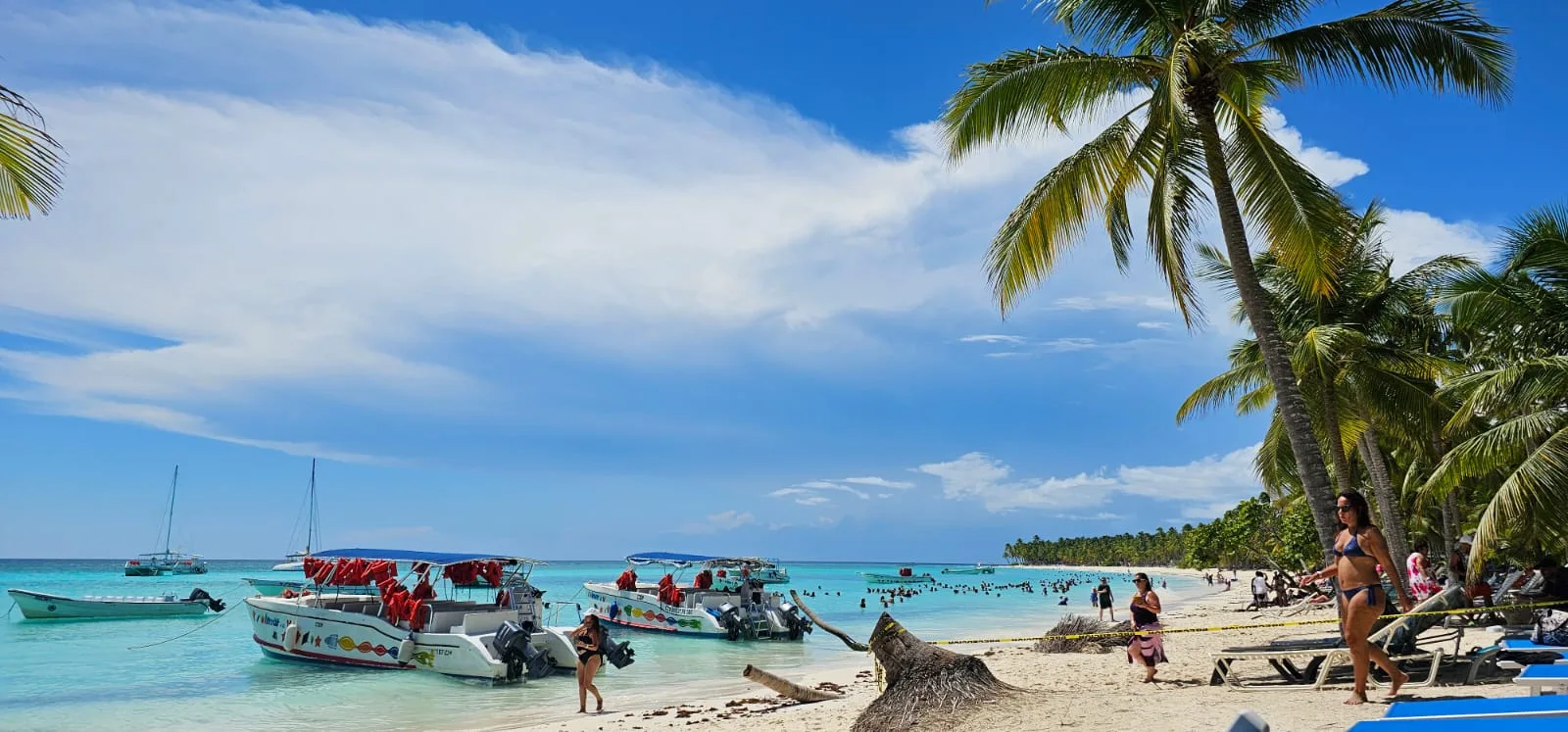 Beach loungers and palm trees on Saona Island
